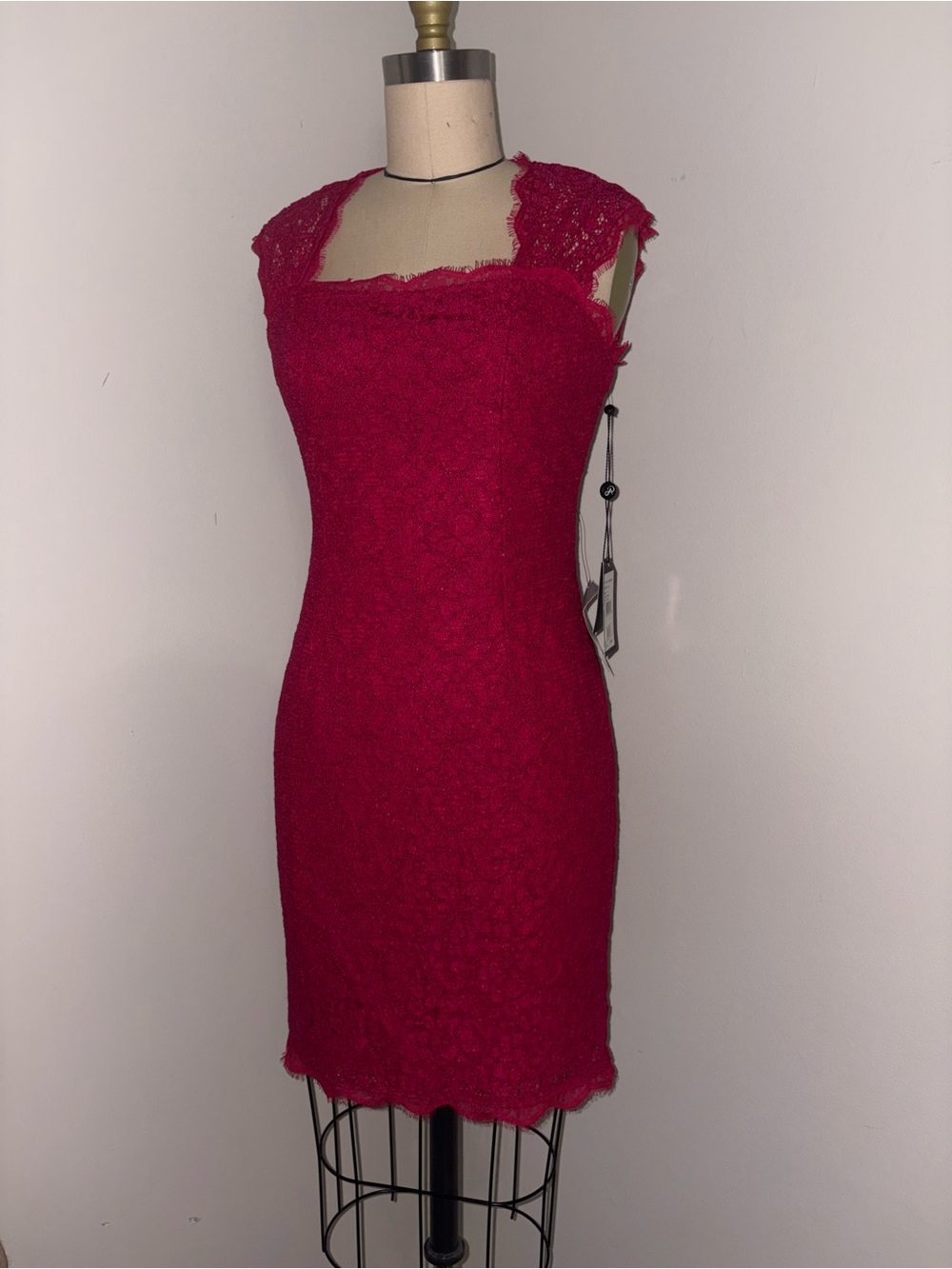 Adrianna Papell Cap Sleeve Lace Sheath Dress Crimson Pink Size 4 NWT $158 - Picture 6 of 8
